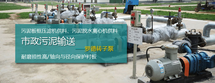 污水处理厂用罗德凸轮转子泵