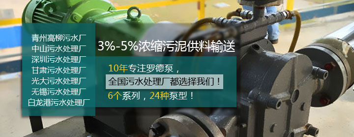 罗德凸轮转子泵应用在污水处理厂处理浓缩污泥