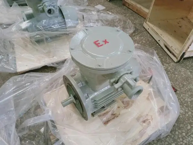 防爆电机